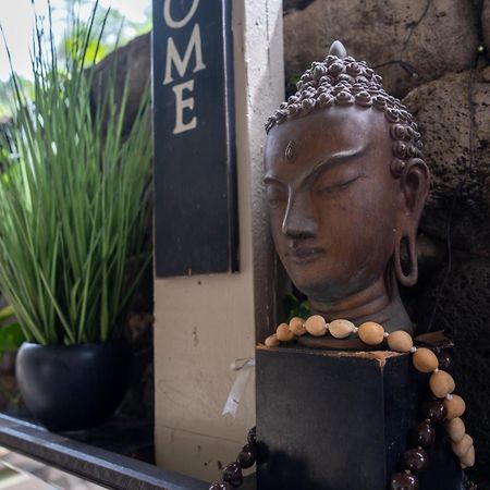 Unit 18 Maui Ohana Modern Studio Wailuku Eksteriør billede